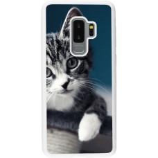 Coque Samsung Galaxy S9+ - Silicone rigide blanc Meow 23