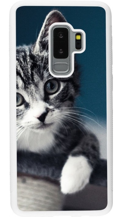 Coque Samsung Galaxy S9+ - Silicone rigide blanc Meow 23