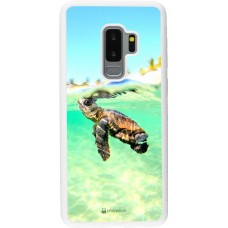 Coque Samsung Galaxy S9+ - Silicone rigide blanc Turtle Underwater
