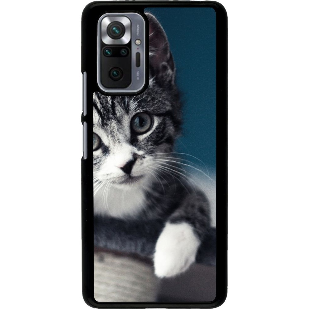 Hülle Xiaomi Redmi Note 10 Pro - Meow 23