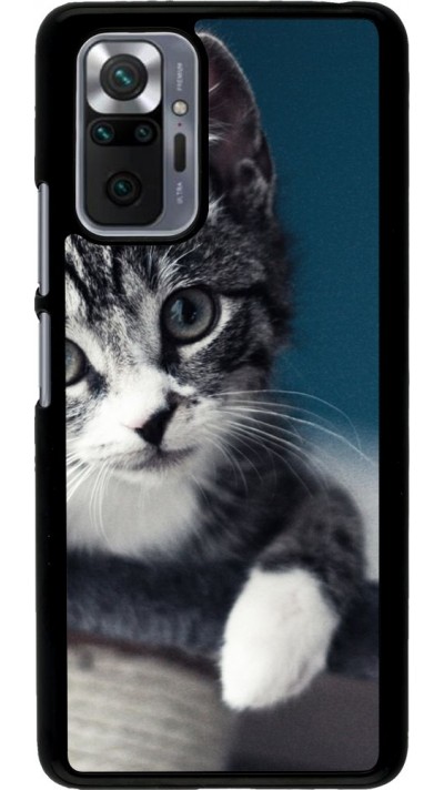 Coque Xiaomi Redmi Note 10 Pro - Meow 23