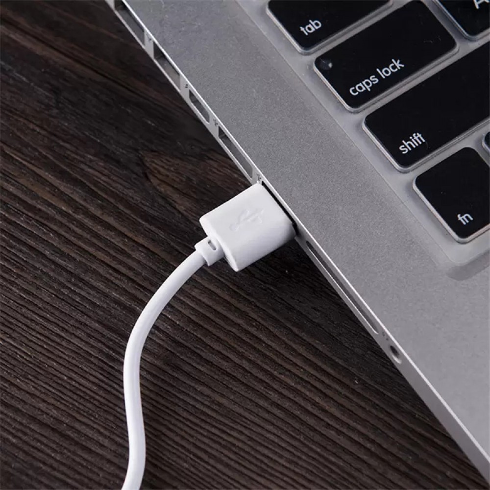 Câble chargeur (30cm) USB-A vers Micro USB - Blanc