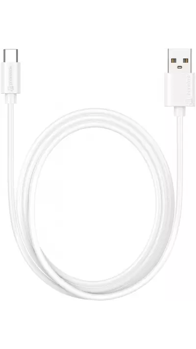 Câble USB vers USB-C (1 m) - PhoneLook - Blanc
