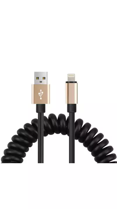 Câble iPhone extensible et flexible - Lightning vers USB-A - Noir