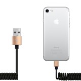 Câble iPhone extensible et flexible - Lightning vers USB-A - Noir