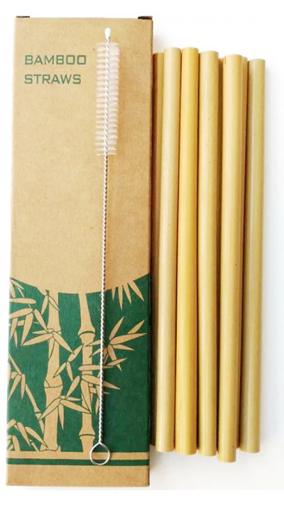 Set de pailles en bambou naturel en bois véritable avec brosse de nettoyage (10 pièces)