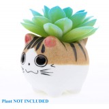 Katzenförmiger Blumentopf mit Gesichtsausdruck (zufällig)